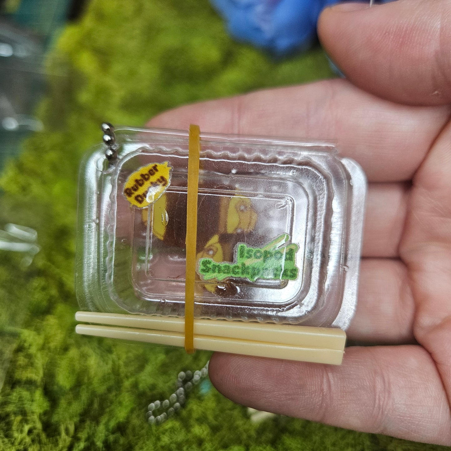 Isopod Snack pack Charms