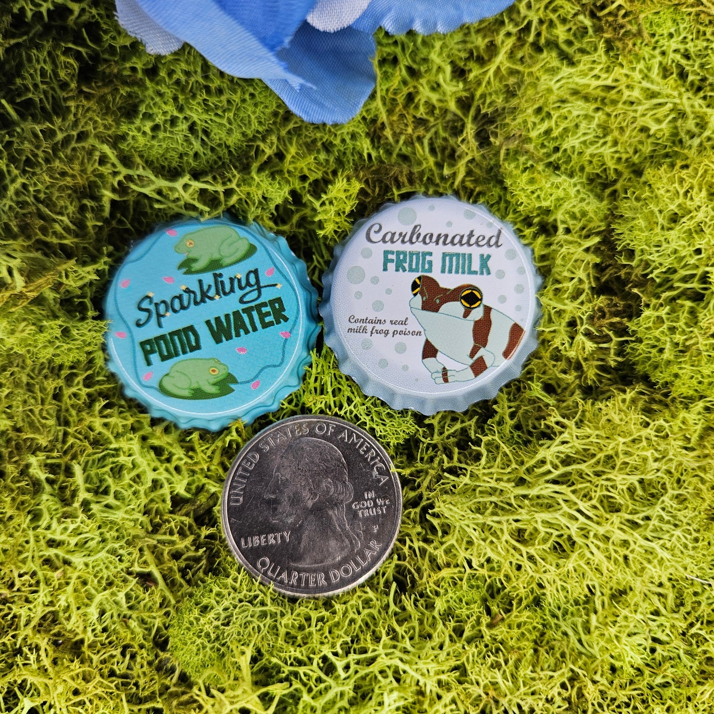 Froggie Drink Bottle Cap Buttons