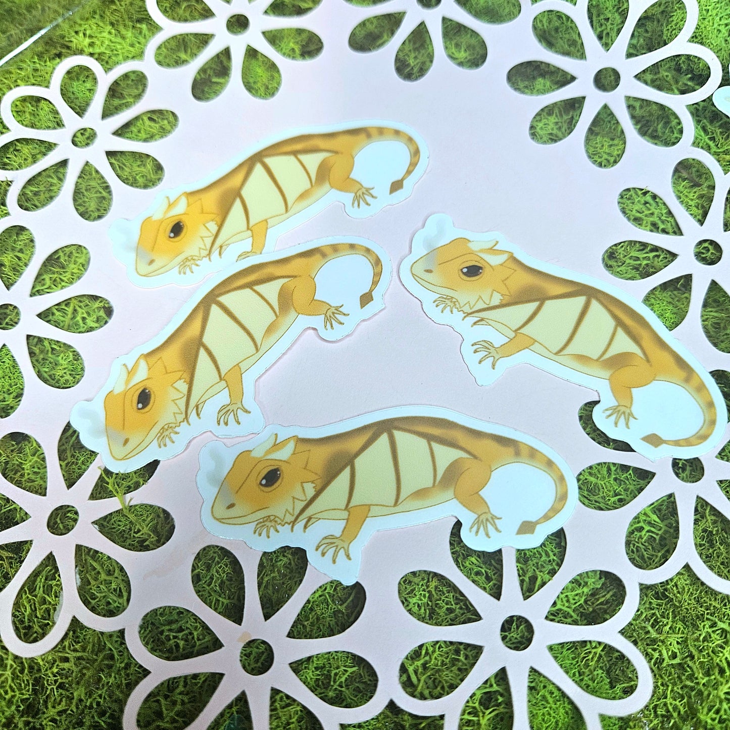 Bearded "Dragon" Vinyl Sticker