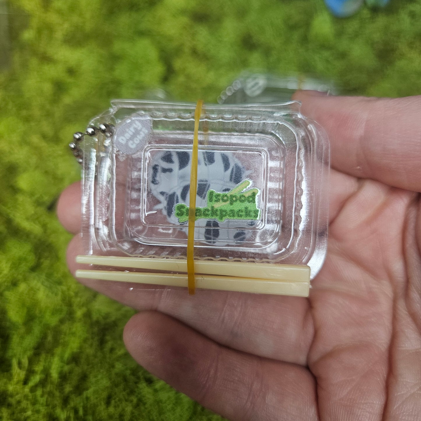 Isopod Snack pack Charms