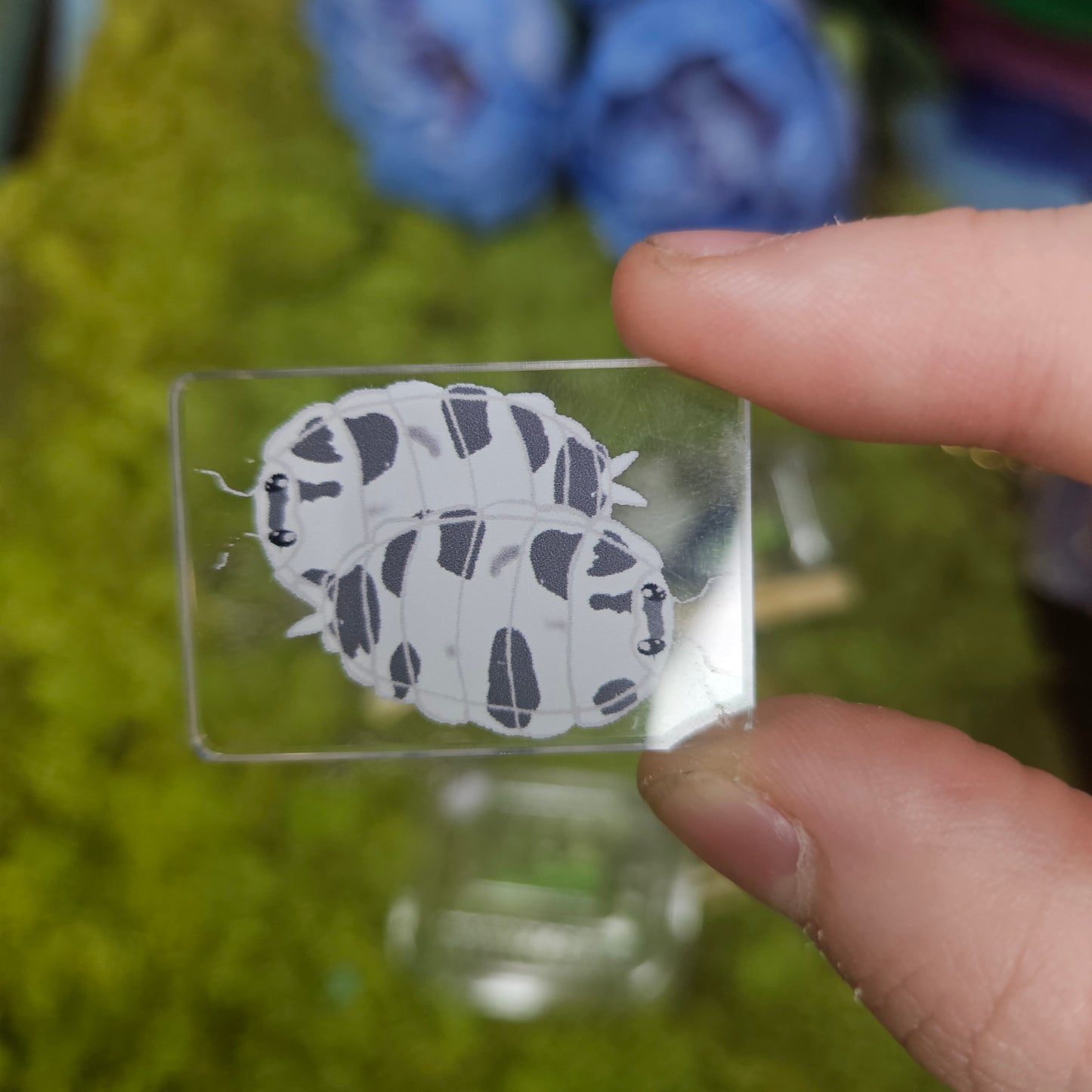 Isopod Snack pack Charms