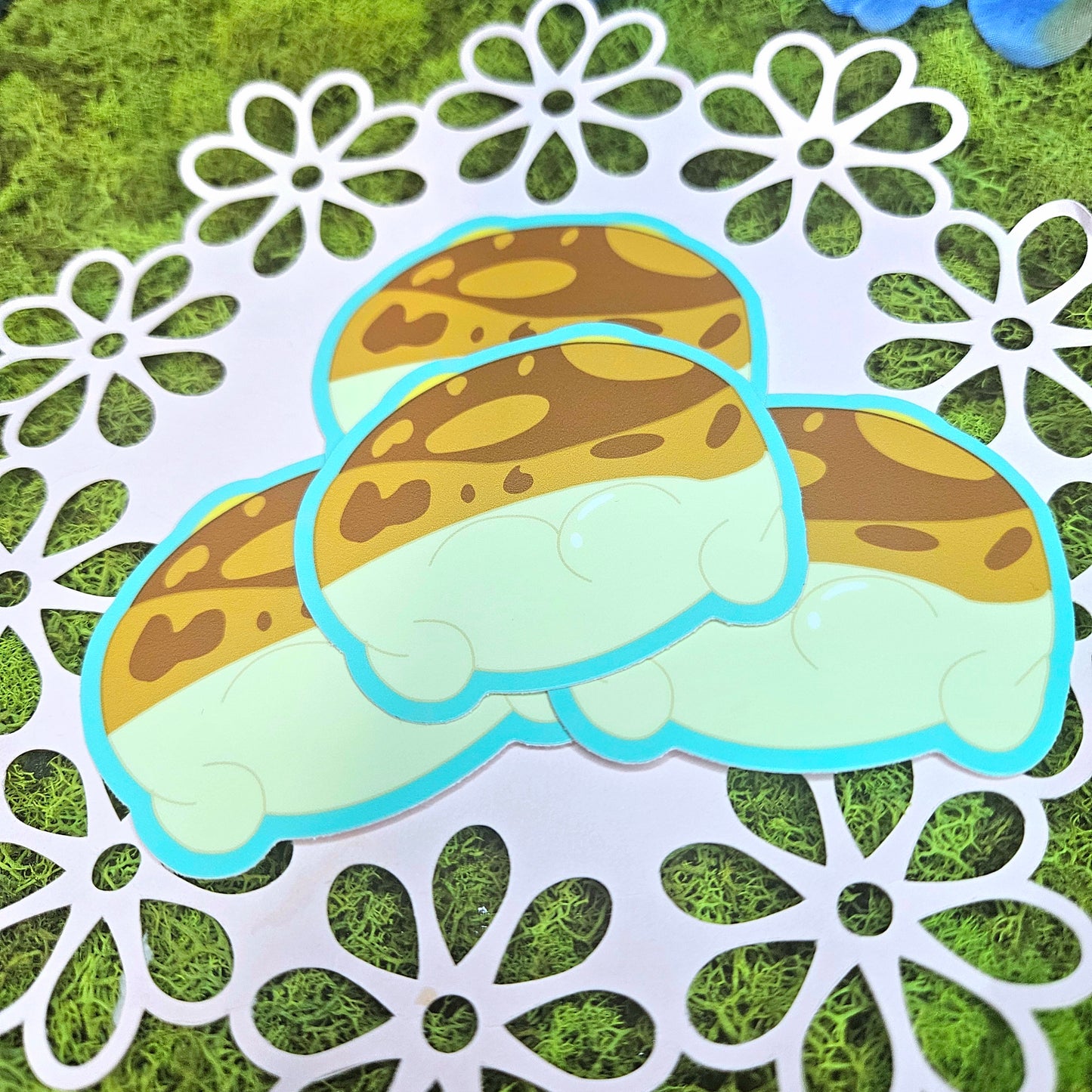 Common Rain Frog Booty Vinyl Sticker