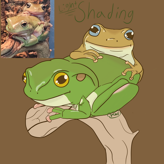 Froggy Commissions - Details + Shading