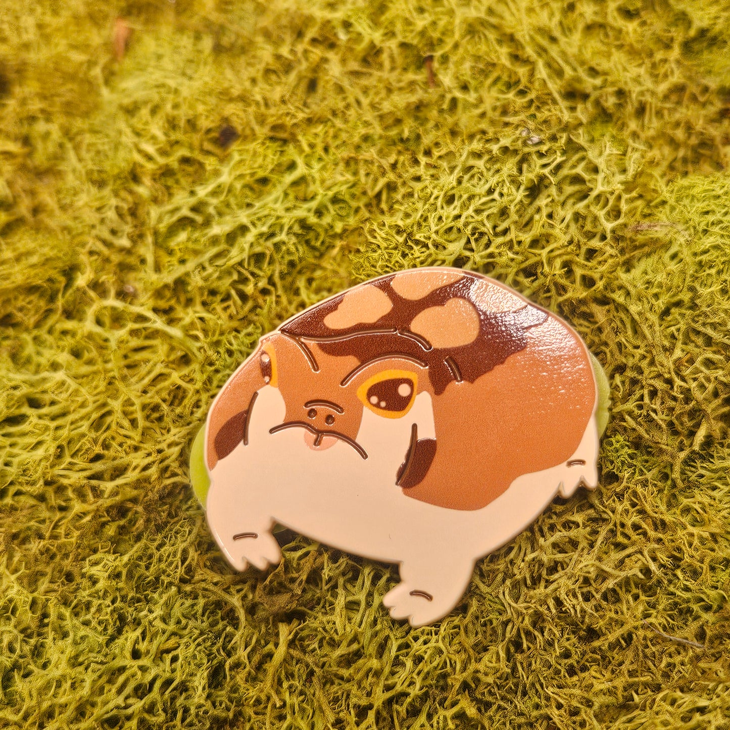 Common Rain Frog Dyed Metal Pin