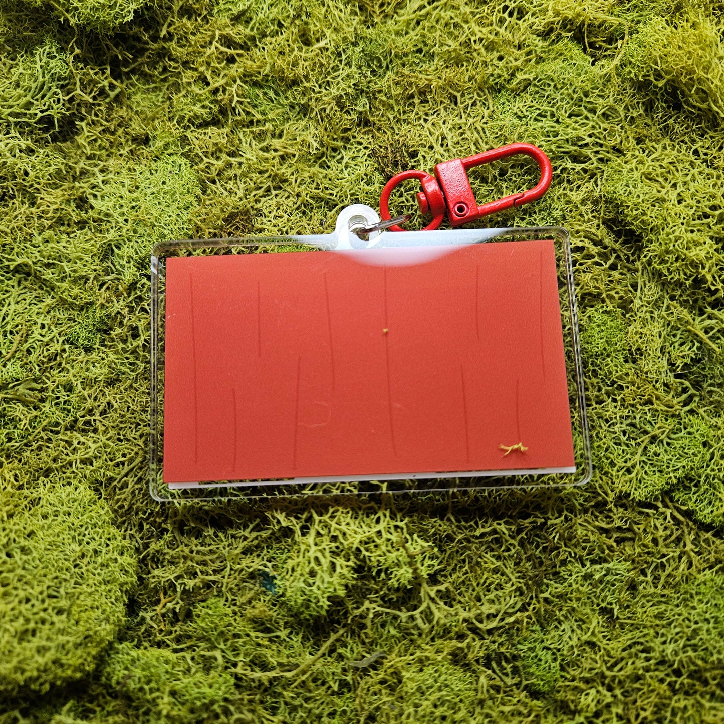 Preorder Circus Frog Cookies Shaker Keychain