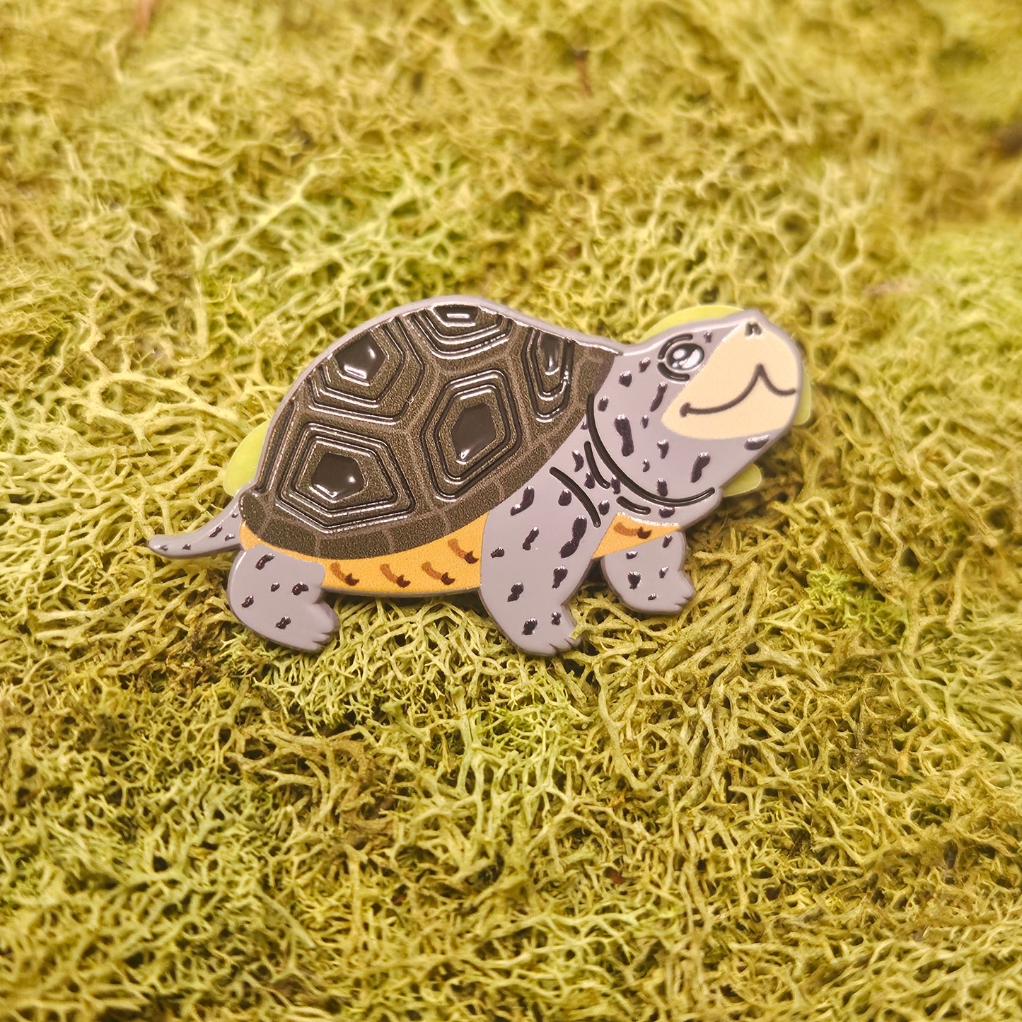 Diamond Backed Terrapin Dyed Metal Pin