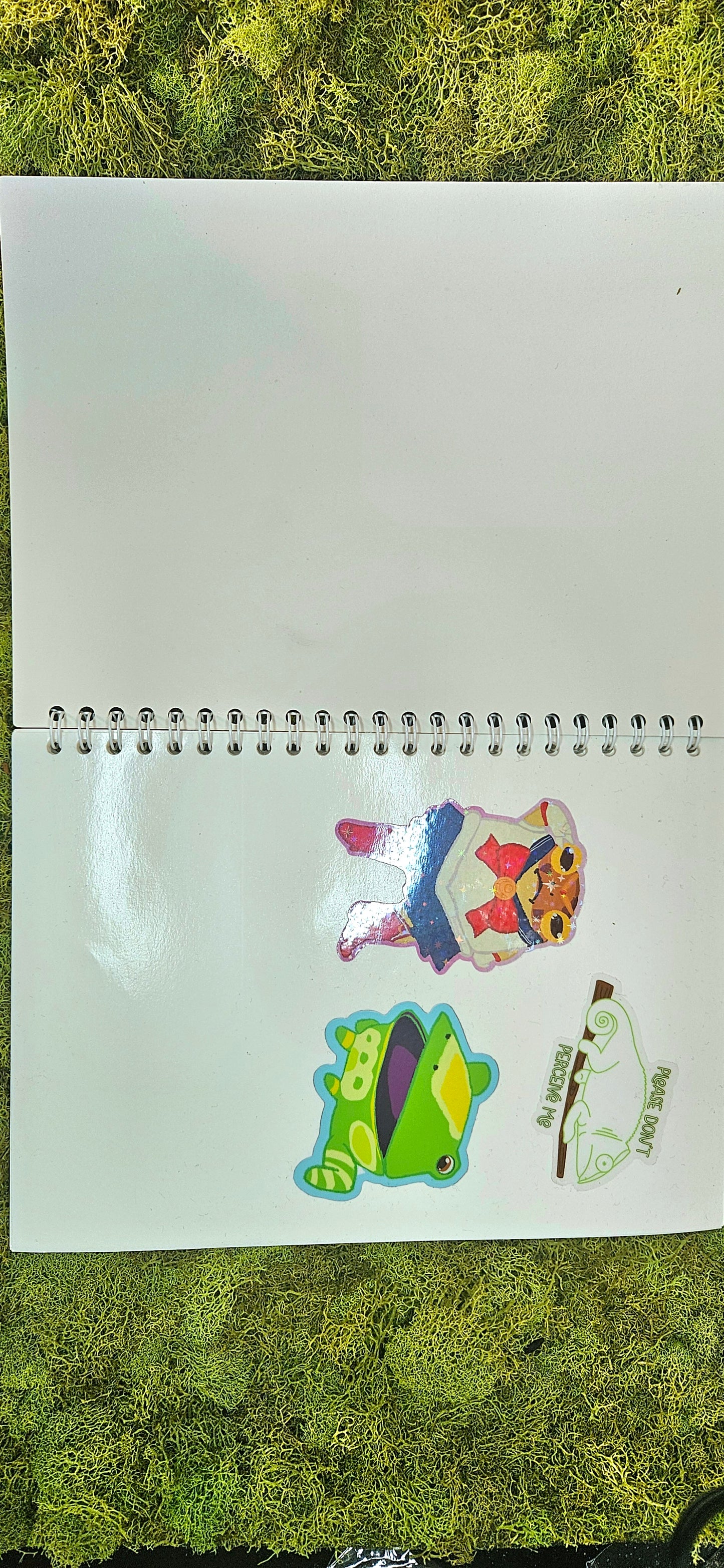 "Sticker Collection" Reusable sticker book